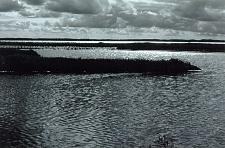 Flensburger F&ouml;rde