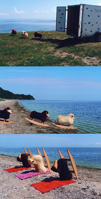 Die Schaukelschafe machen Urlaub...