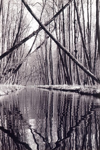 Wieder ein icks. Paddeln auf der Schwanenhavel Ostern 2012