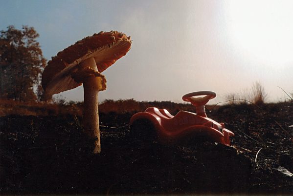 Unser Gel&auml;ndewagen vor dem Carport