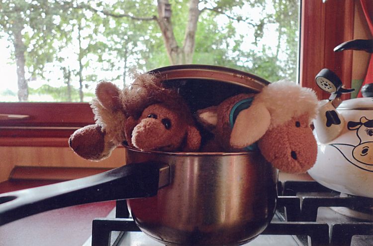 ... es gibt Stofftiersuppe