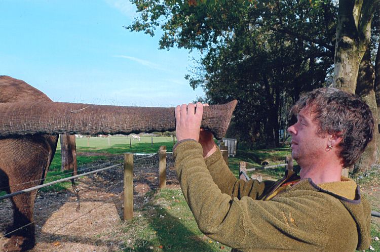 ... nee - Polypen hat der nicht.