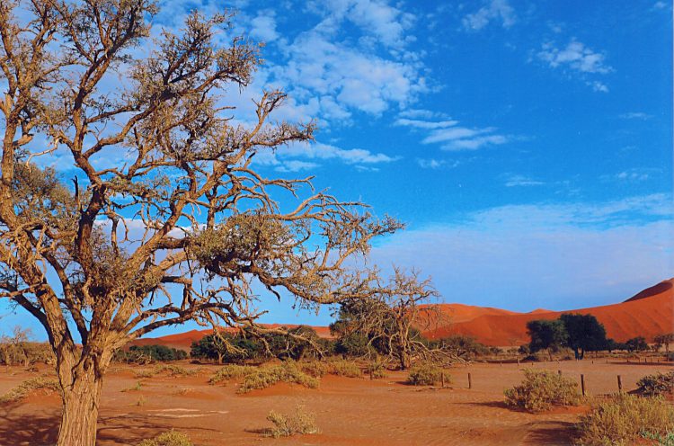 Sossusvlei = Ende des Wassers
