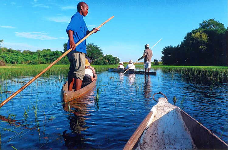 Mohorofahrt - Botswana