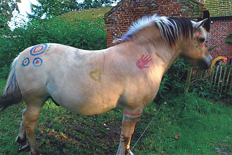 ... wenn wir Langeweile haben, malen wir unser Pferd an ...