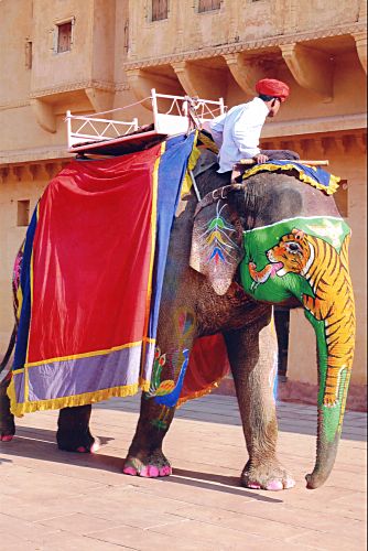 Typisch M&auml;dchen...