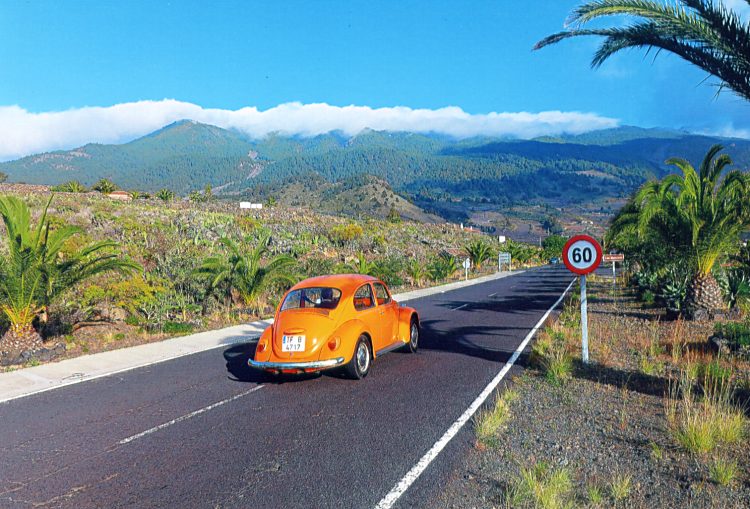 ... da kommt Freude auf ...