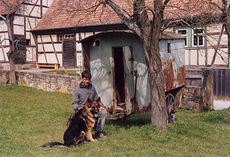 Schäferkarren - Schäferhund