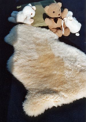 Babyfell