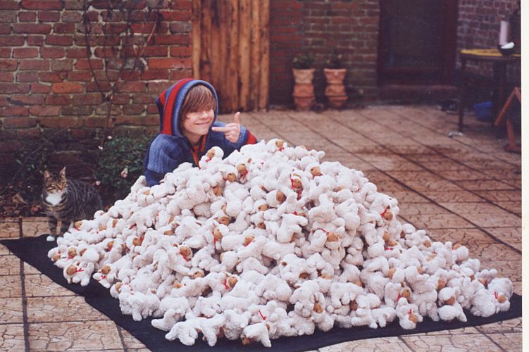 1600 Lamm-Bertis suchen ein zu Hause...