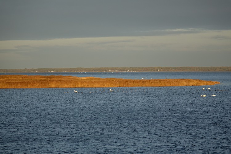 Herbst auf Hiddensee